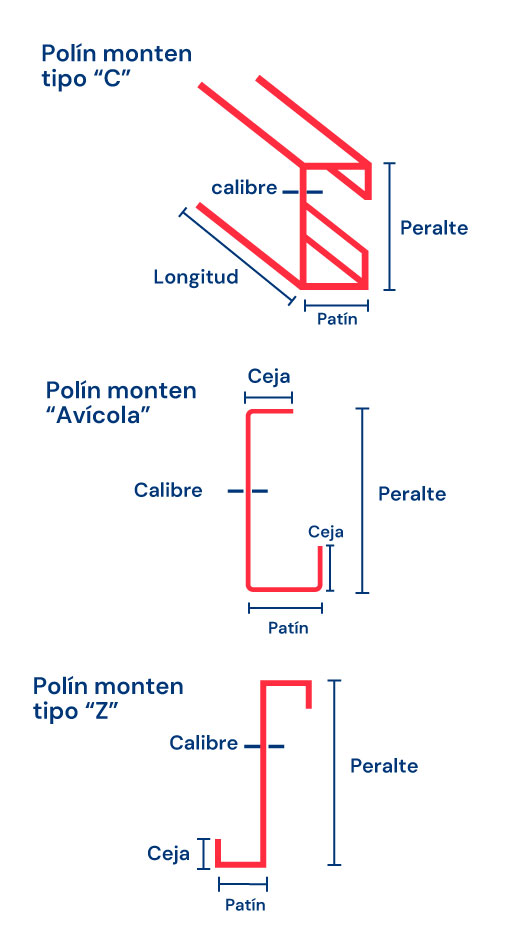 Esquema de los topos de monten